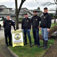 Busybee PM Power Washing Team