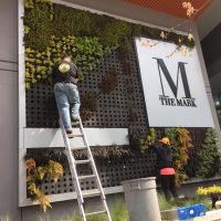 Living Wall Installation