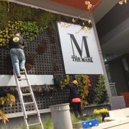 Living Wall Installation