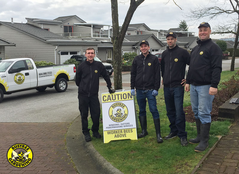 Busybee PM Power Washing Team